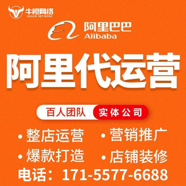 安达电商代运营
