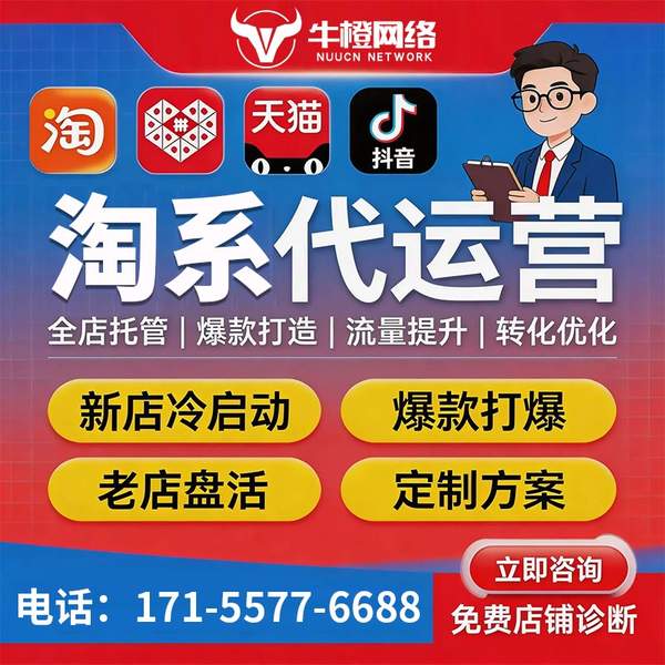安达电商代运营