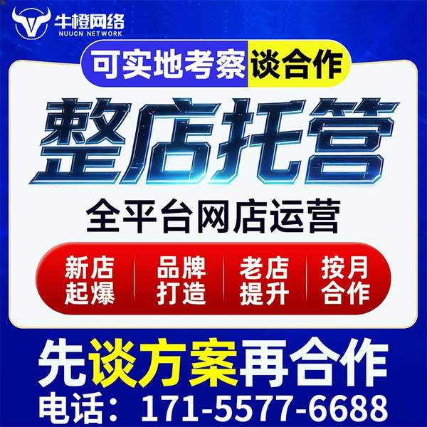安达电商代运营