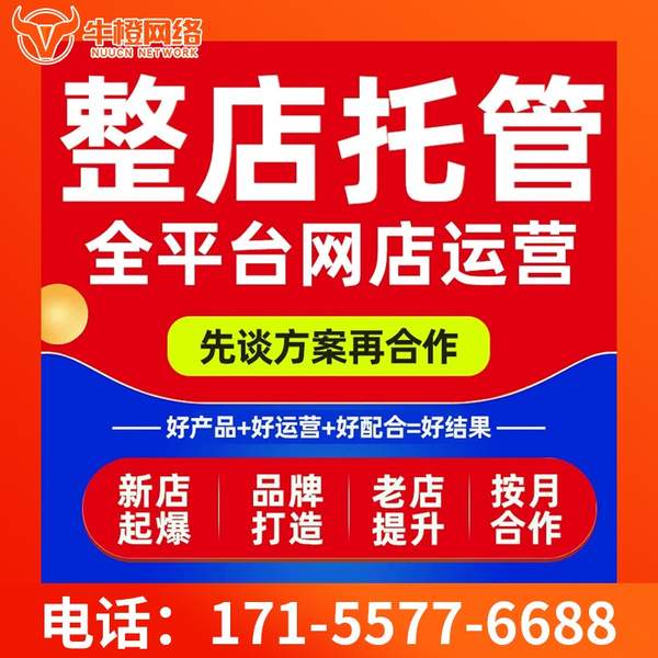 安达电商代运营