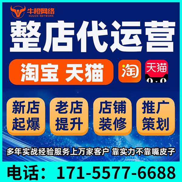 安达电商代运营