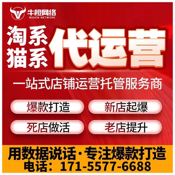安达电商代运营